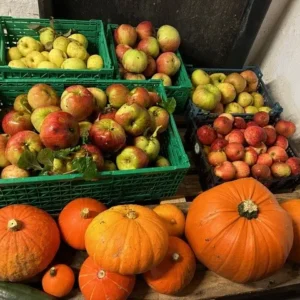 Fruit And Pumpkins
