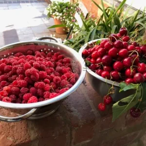 Raspberries And Cherrys